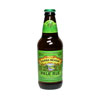 Sierra Nevada pale ale 0,35 NB